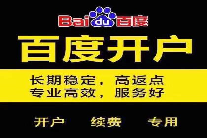 百度竞价案例：行业竞争激烈下的突围